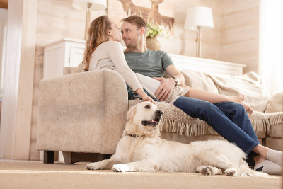 一对夫妇带着爱犬在乡村别墅的客厅里共度周末
