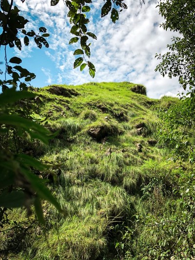 山