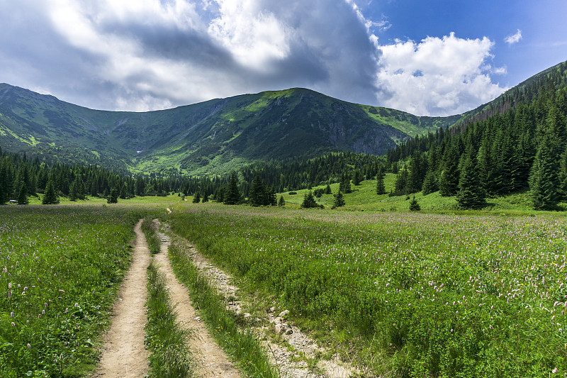 六月的康德拉托瓦谷。西方Tatras。波兰。