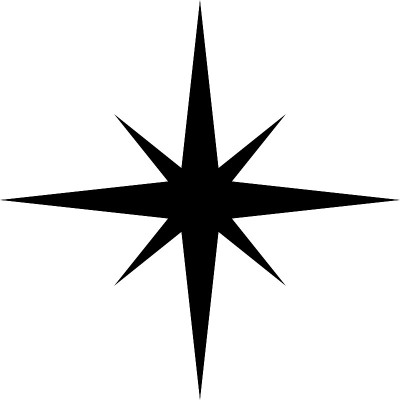明星偶像。星形黑色矢量图标，孤立。明星在现代简单的平面风格的网页设计。矢量图