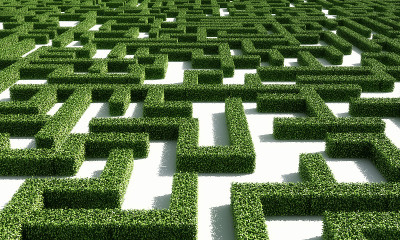 绿色maze2