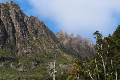 摇篮Mountain-Tasmania