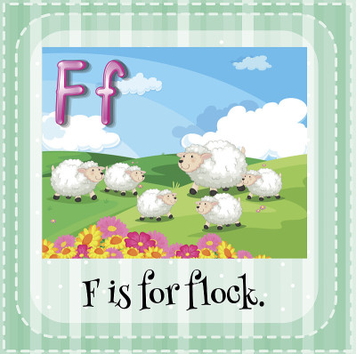抽认卡字母F
