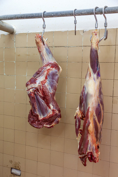 肉店里的清真肉
