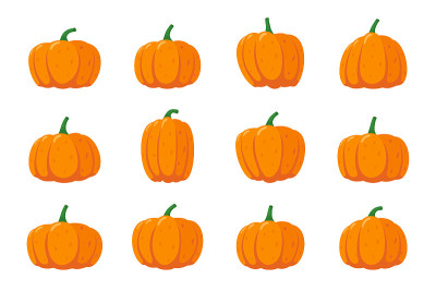 Pumpkin squash cartoon set. Orange autumn gourd ve