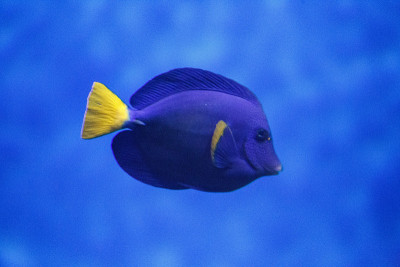 水族馆