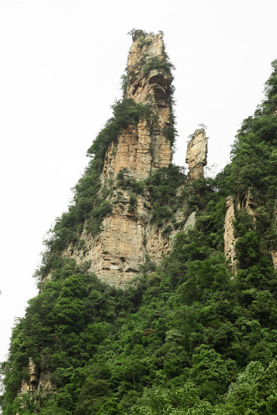 巨大的岩石山环绕着绿色的树木和白色的云雾。史诗山景观