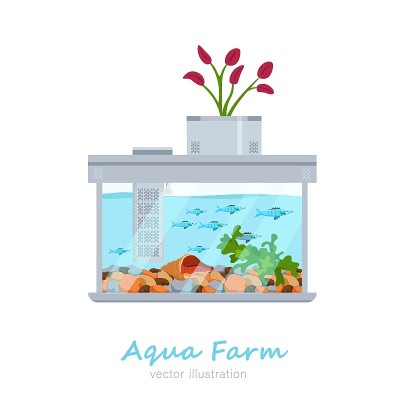 向量水族馆形象