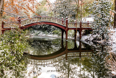 Crim Dell Bridge反映在Crim Dell