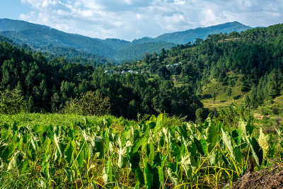 Bageshwar，北阿坎德邦，印度