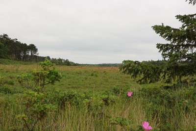 美丽的风景全景Föhr
