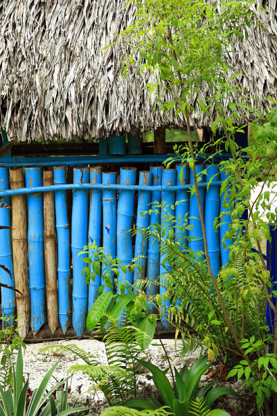 的细节cabin-Efate-Vanuatu