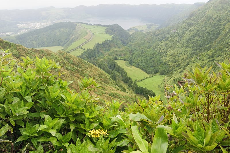 亚速尔群岛的风景