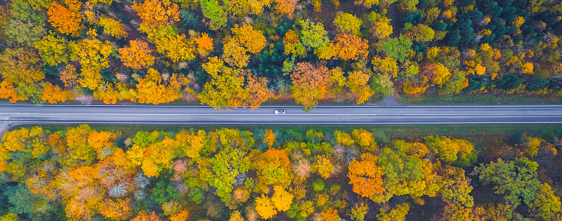 一辆汽车经过森林的道路鸟瞰图