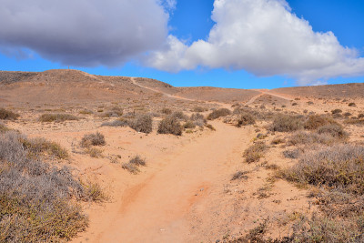 西班牙热带火山加那利群岛的景观