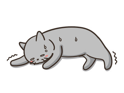 这只猫身体不好。在宠物床上。