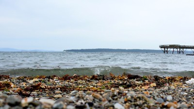 海滨沙滩