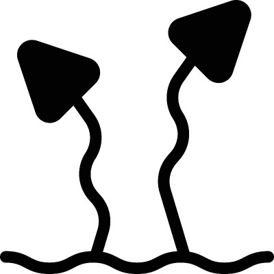 蘑菇