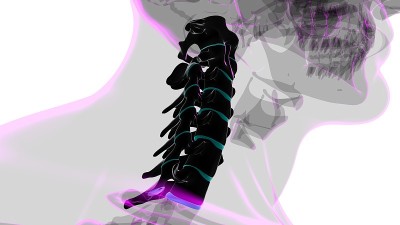 人体骨骼脊柱颈椎解剖3D
