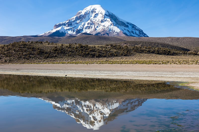 萨贾玛火山和湖泊Huañacota。玻利维亚安第斯