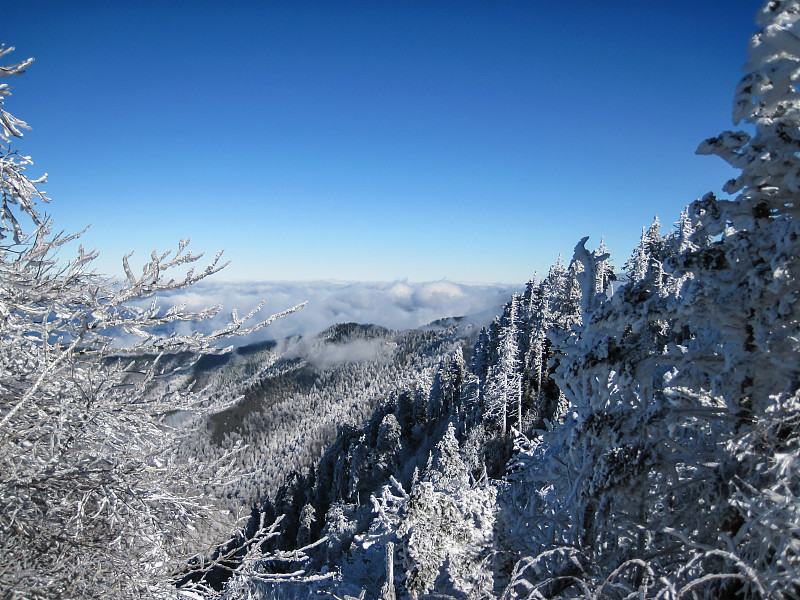 大烟山国家公园的雪