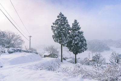 冬天下雪了，天气晴朗