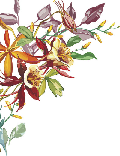 夏季花框在水彩风格孤立。全称:Crocosmia, Aquilegia。水彩花可以用于背景，纹理，包
