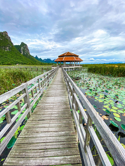 Sam Roi Yot淡水沼泽，走过沼泽，在泰国Prachuap Khiri Khan的Sam Ro