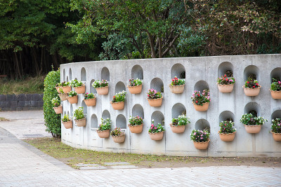 鲜花和架构