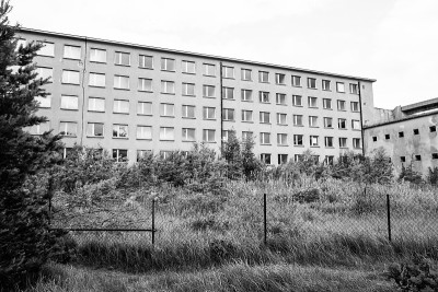 Prora KDF植物