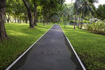 草地花园里的小路