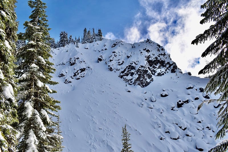 抬头望着不列颠哥伦比亚省惠斯勒白雪覆盖的山峰