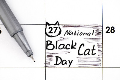 用笔在日历上提醒全国黑猫日。10月27日。