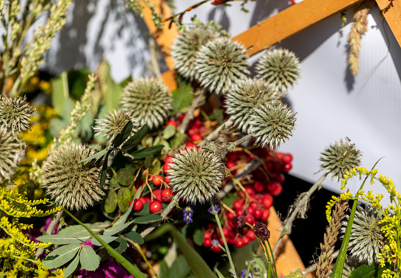 由鲜花、香草和水果组成的花束是夏季的象征