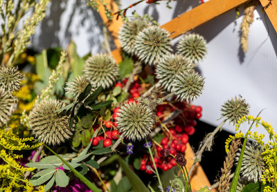 由鲜花、香草和水果组成的花束是夏季的象征