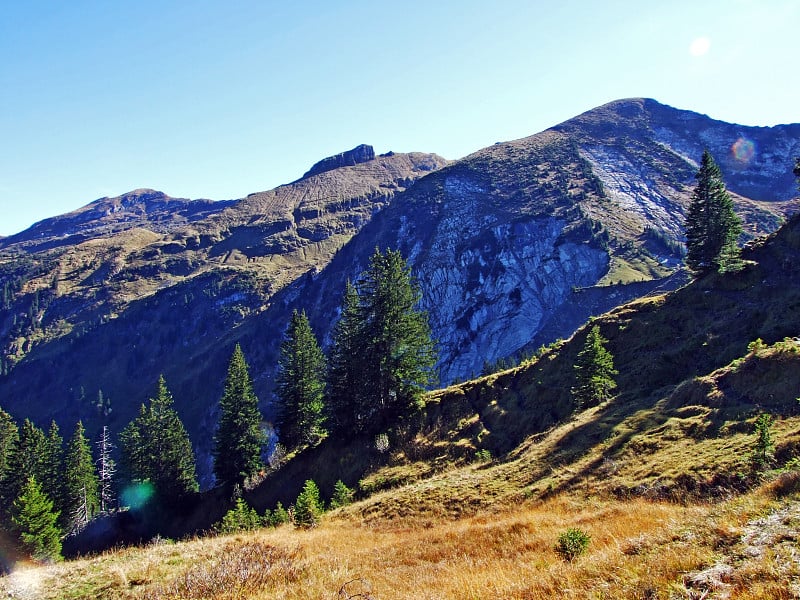 Alpine mountain Leistchamm above the Wahlensee Lak