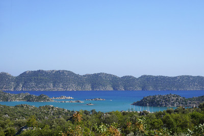 Simena,火鸡