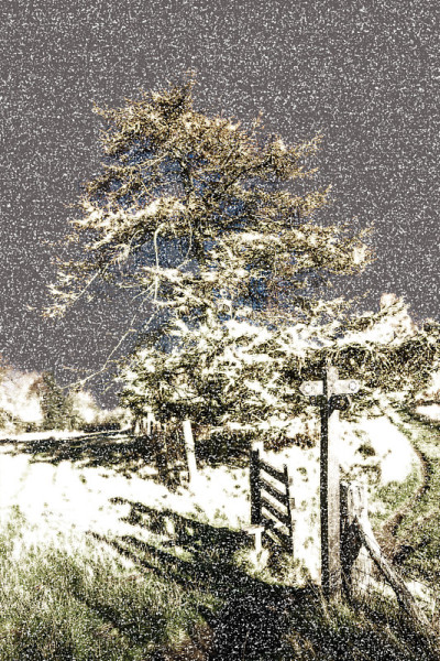 在雪地里行走。