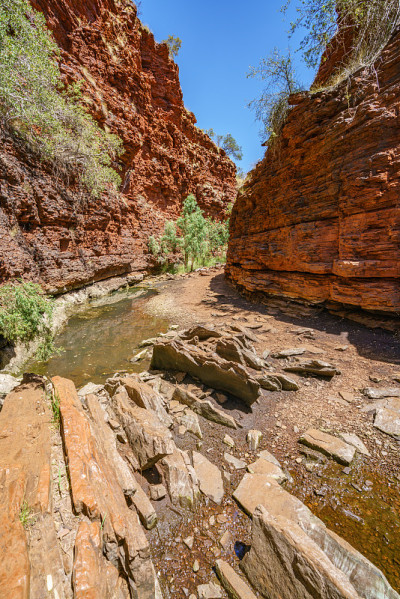 在karijini国家公园的weano峡谷徒步旅行，澳大利亚西部31