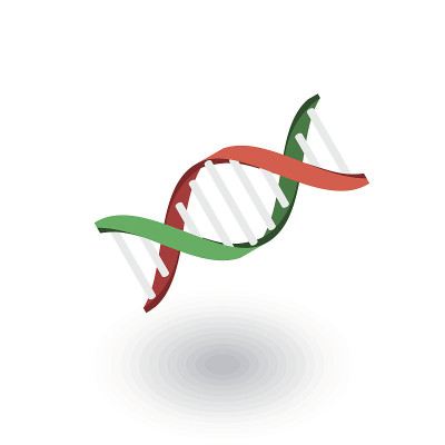 DNA，科学，遗传学，分子，生物学等距平面图标。三维向量