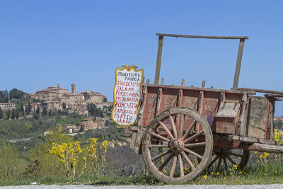 Montepulciano