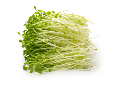 一束雪豌豆微绿色正面视图