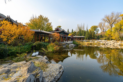 秋天，公园里有中国古建筑的阁楼和银杏树