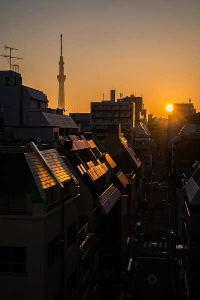 东京天空树日出上野