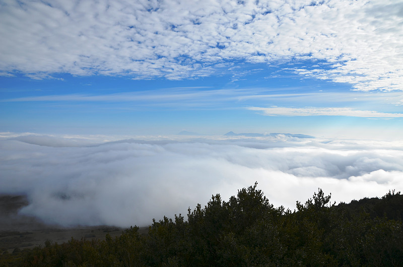 从埃克绍里峰观看，黄杨和山脉背景