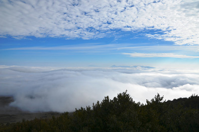 从埃克绍里峰观看，黄杨和山脉背景