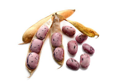 豆子