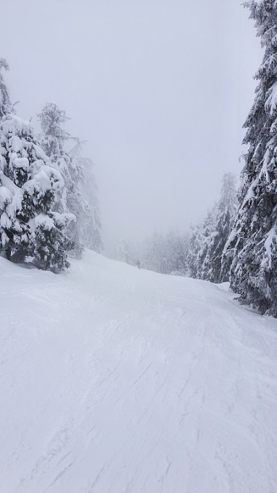 雾蒙蒙的滑雪板滑雪坡