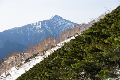 日本阿尔卑斯山脉mt.kitadake