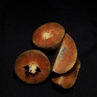 在黑色背景上的Sapota或sawo或sapodiata果实